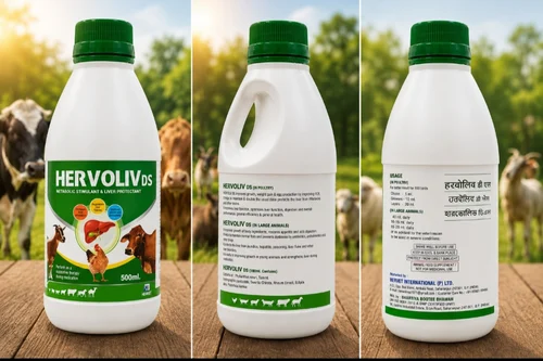 Hervoliv DS Metabolic Stimulant Liver Protectant Tonic